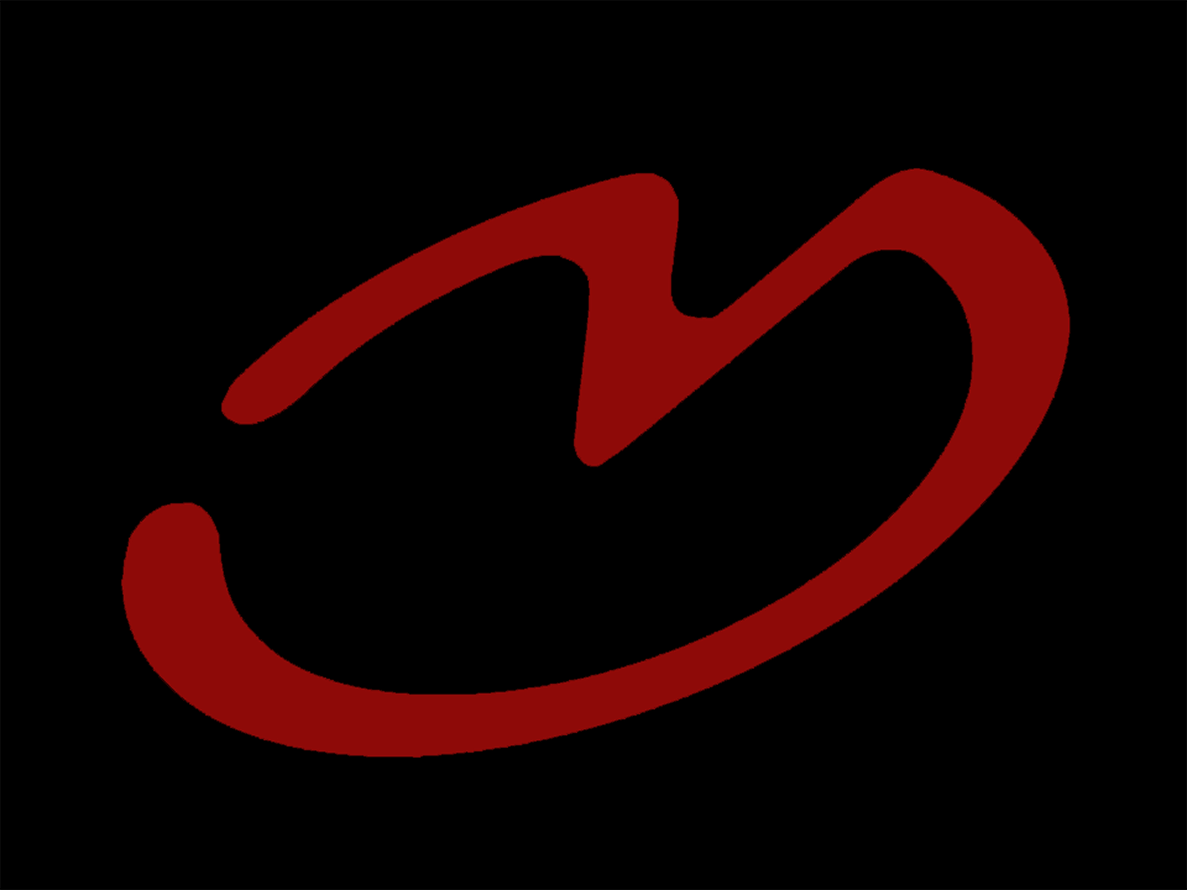 Savon Sähköpointti logo